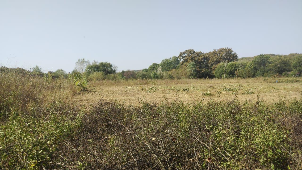 Фото №7: Коммерция 20 м² - Новоалексеевский, ул. Центральная, 10