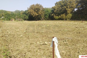 Фото №1: Личное подсобное хозяйство 20 сот. - Новоалексеевский, ул. Центральная, 10