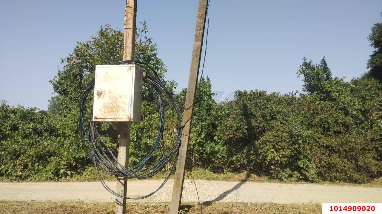 Фото №12: Личное подсобное хозяйство 20 сот. - Новоалексеевский, ул. Центральная, 10