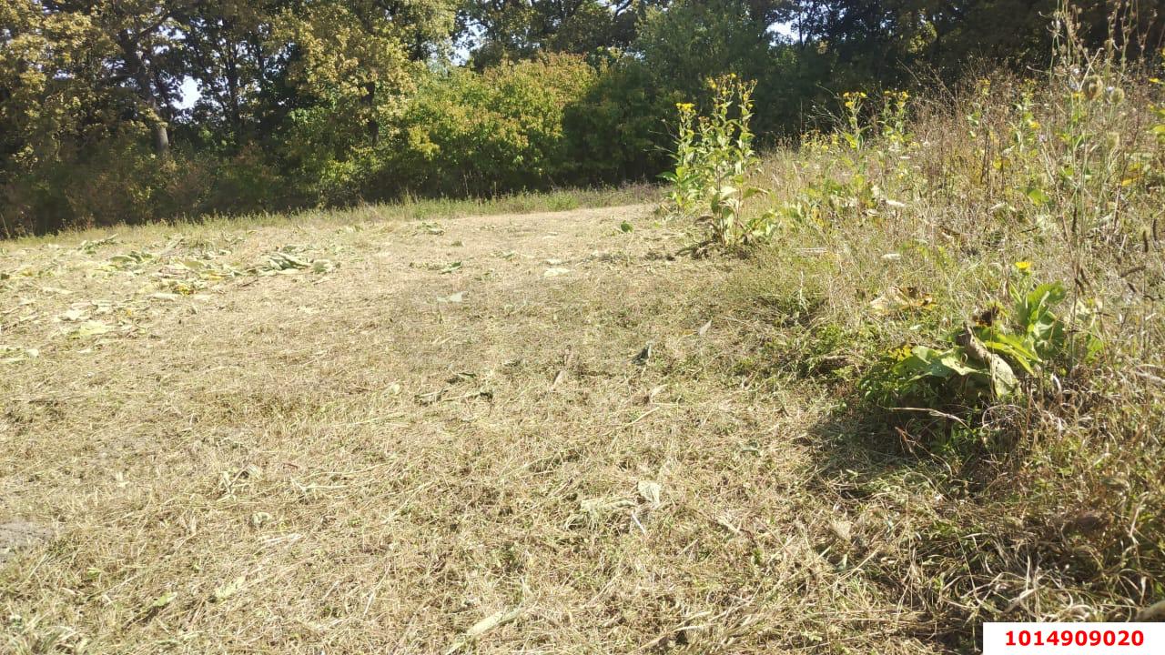 Фото №5: Личное подсобное хозяйство 20 сот. - Новоалексеевский, ул. Центральная, 10