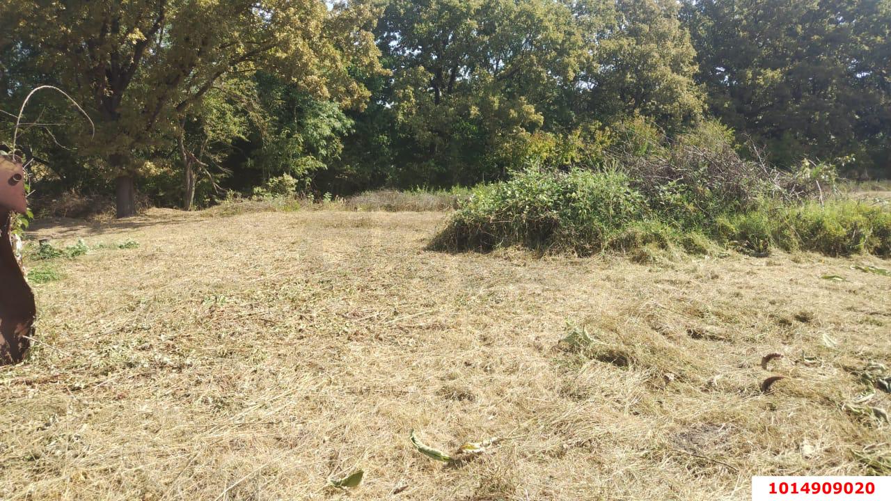 Фото №3: Личное подсобное хозяйство 20 сот. - Новоалексеевский, ул. Центральная, 10