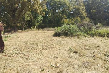 Фото №3: Коммерция 20 м² - Новоалексеевский, ул. Центральная, 10