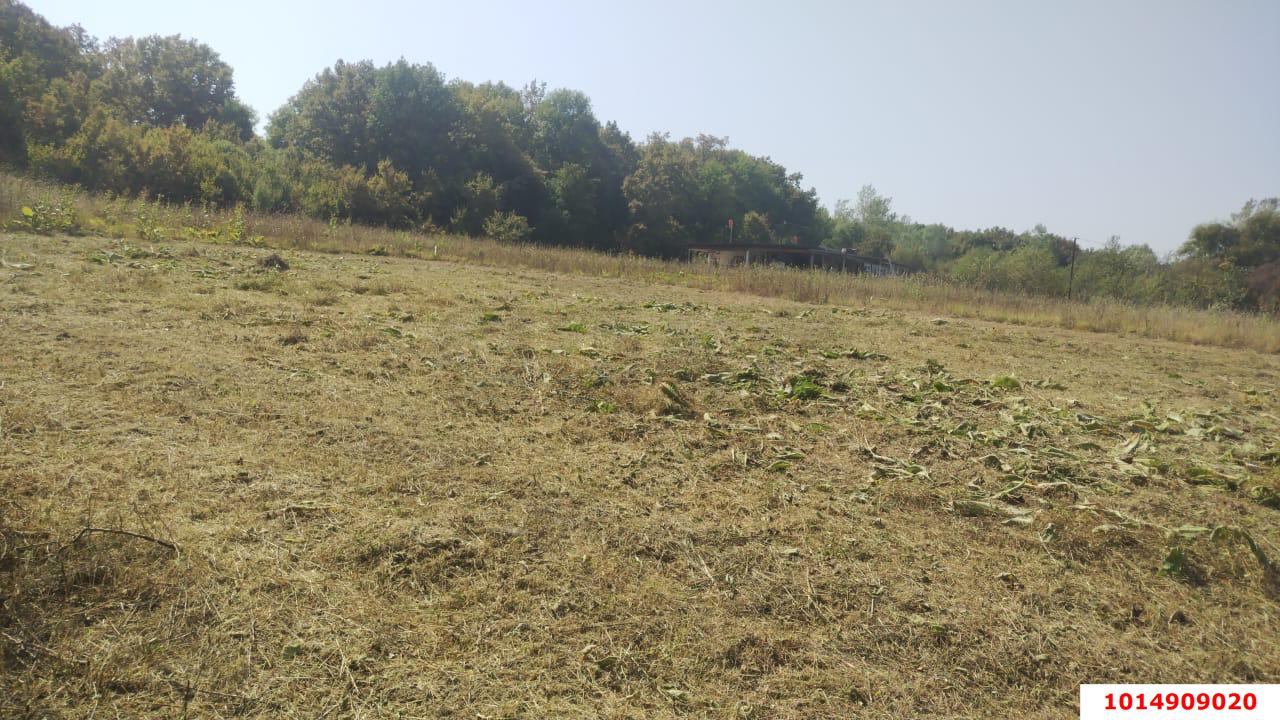 Фото №8: Личное подсобное хозяйство 20 сот. - Новоалексеевский, ул. Центральная, 10