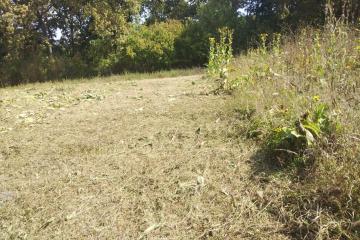 Фото №5: Коммерция 20 м² - Новоалексеевский, ул. Центральная, 10