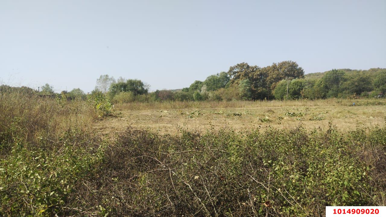 Фото №7: Личное подсобное хозяйство 20 сот. - Новоалексеевский, ул. Центральная, 10