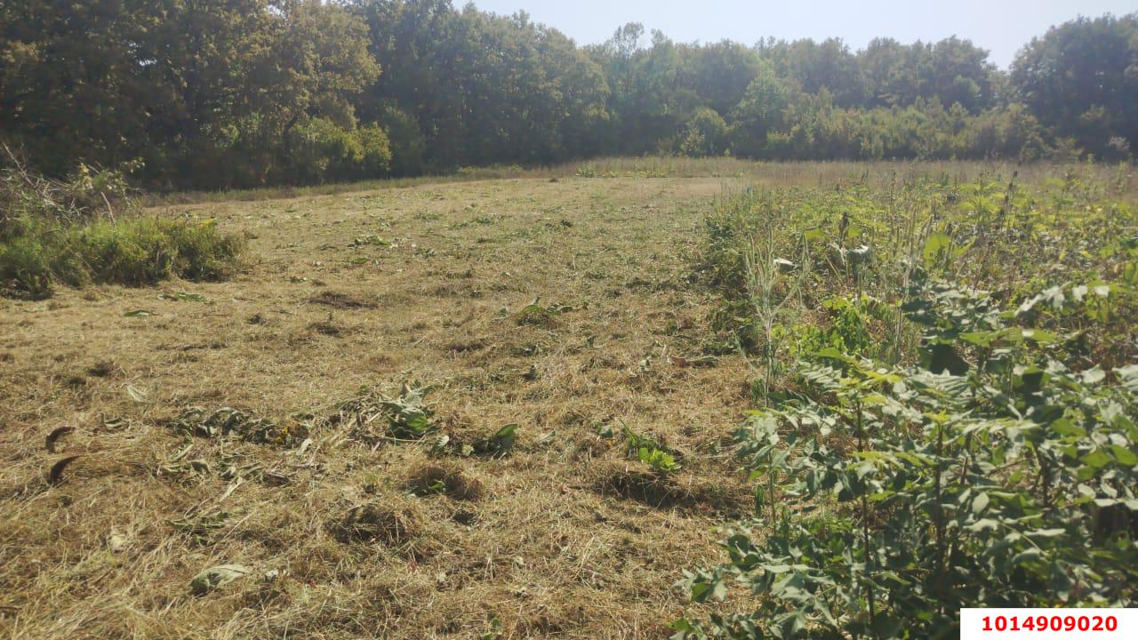 Фото №4: Личное подсобное хозяйство 20 сот. - Новоалексеевский, ул. Центральная, 10