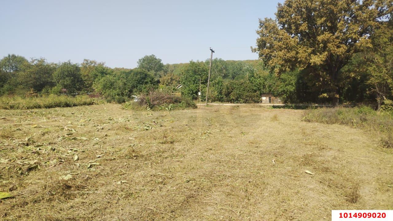 Фото №9: Личное подсобное хозяйство 20 сот. - Новоалексеевский, ул. Центральная, 10