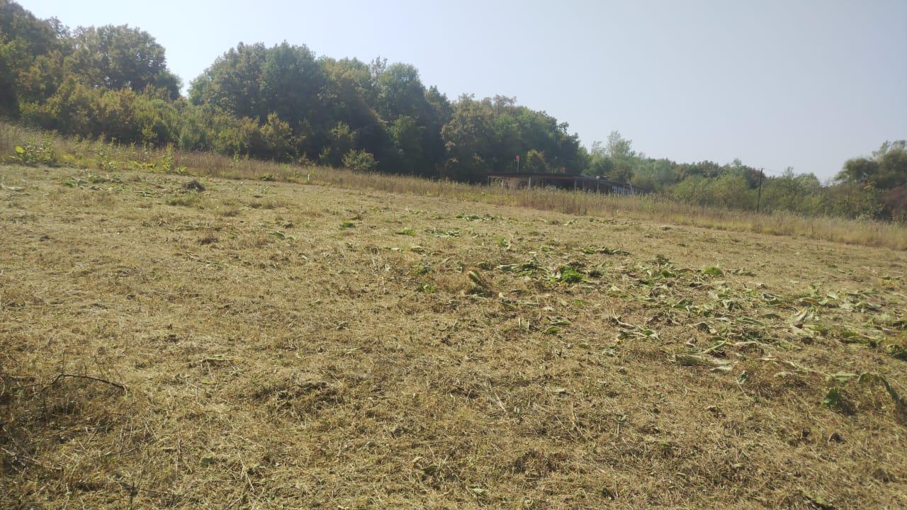 Фото №8: Коммерция 20 м² - Новоалексеевский, ул. Центральная, 10