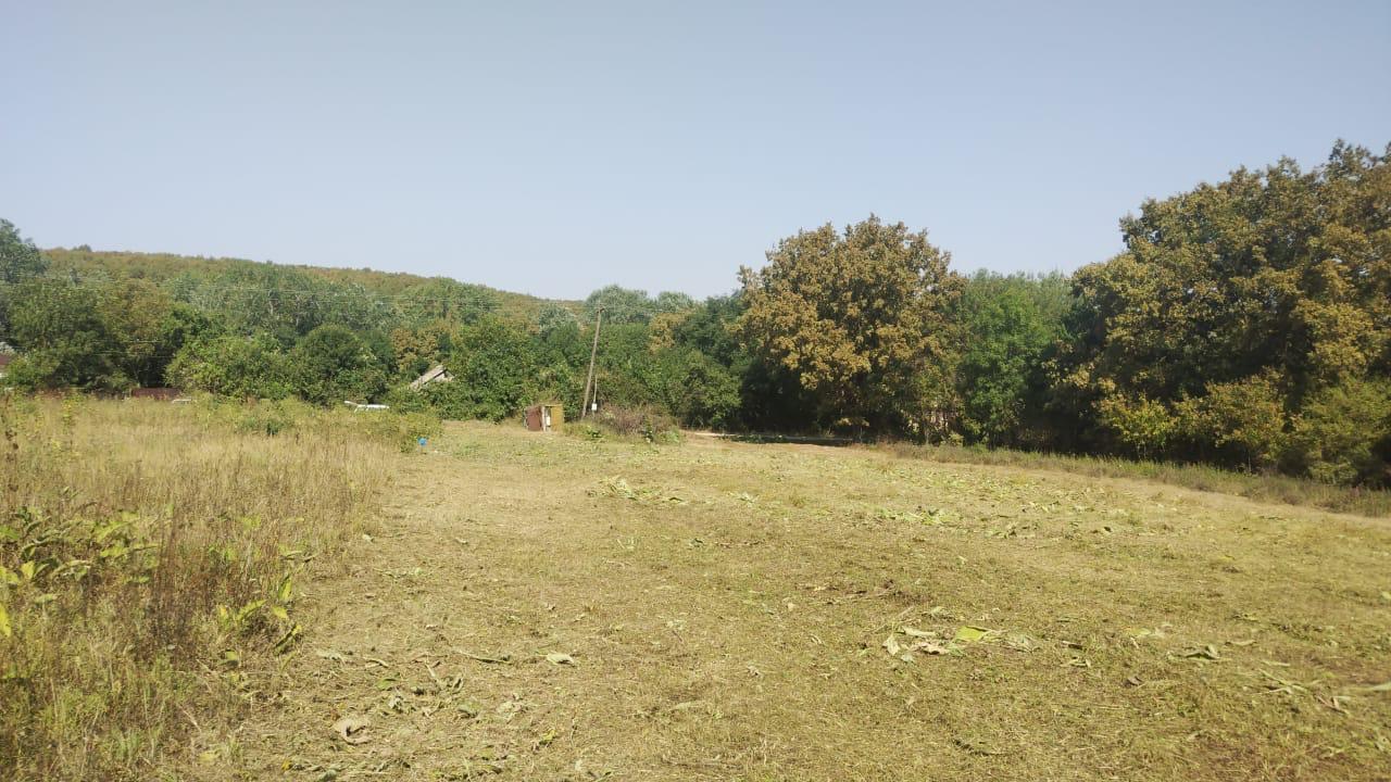 Фото №6: Коммерция 20 м² - Новоалексеевский, ул. Центральная, 10