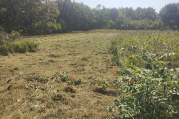 Фото №4: Коммерция 20 м² - Новоалексеевский, ул. Центральная, 10