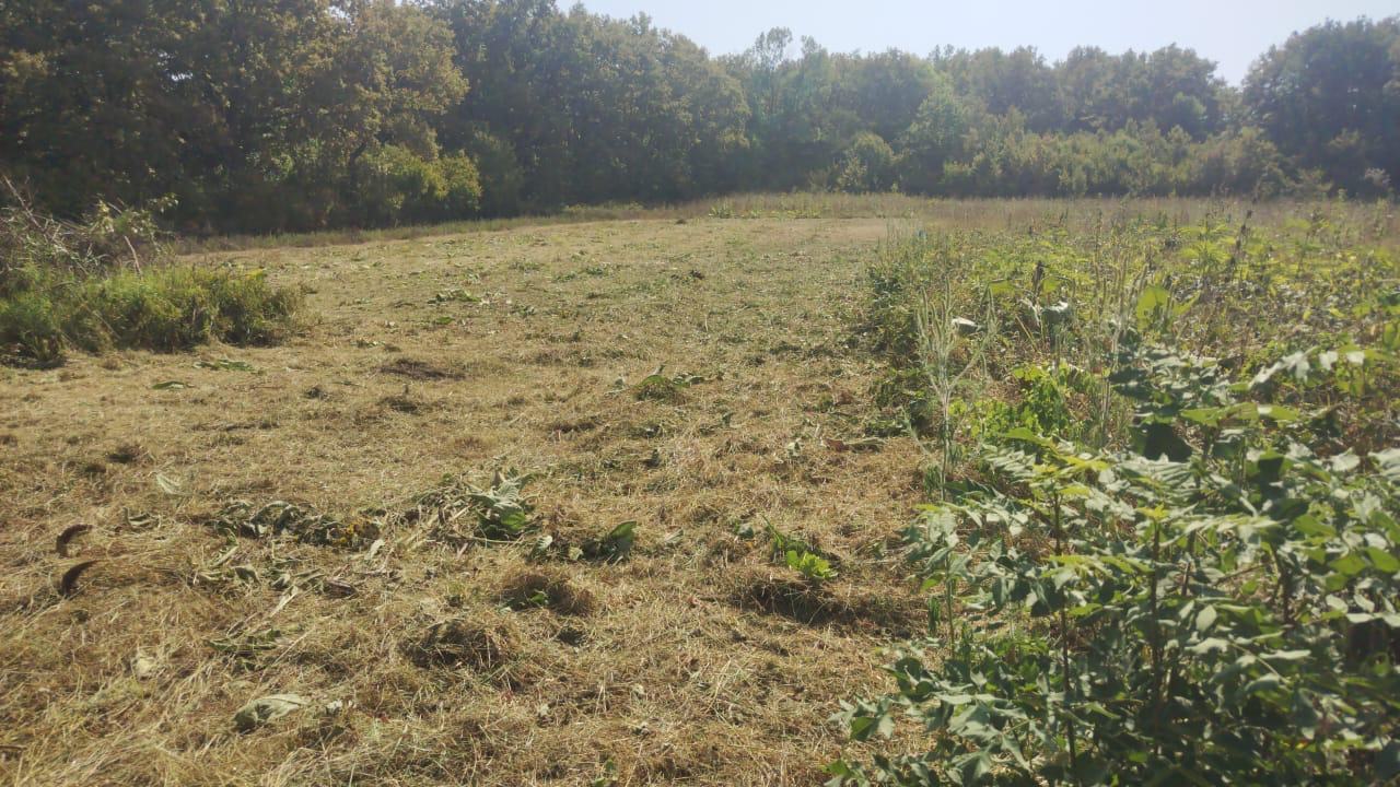 Фото №4: Коммерция 20 м² - Новоалексеевский, ул. Центральная, 10