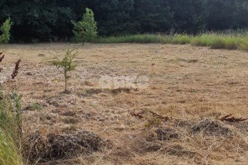 Фото №3: Личное подсобное хозяйство - Марьино, 