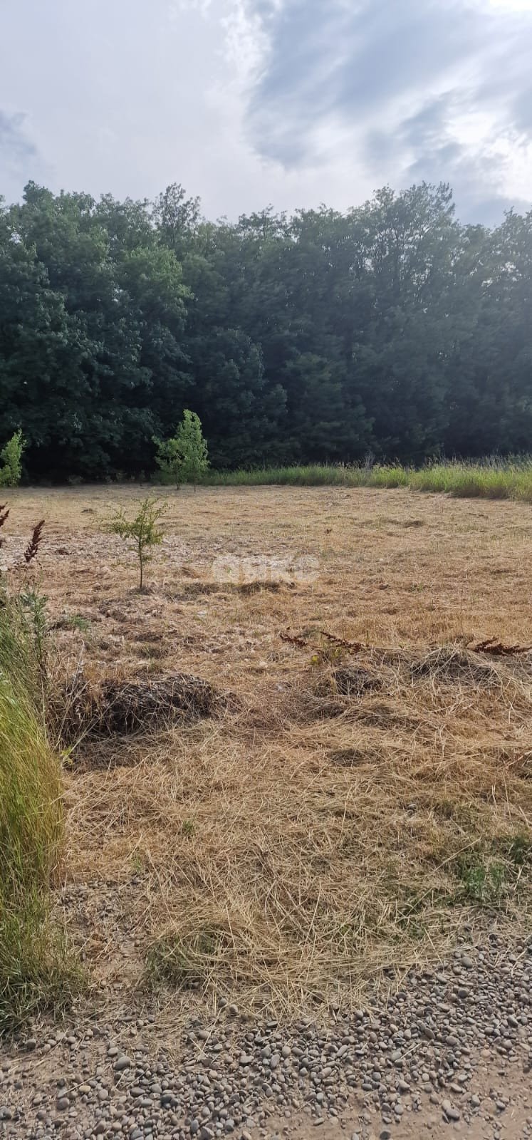 Фото №3: Личное подсобное хозяйство 10 сот. - Марьино