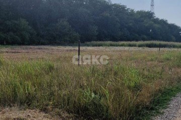 Фото №1: Личное подсобное хозяйство - Марьино, 