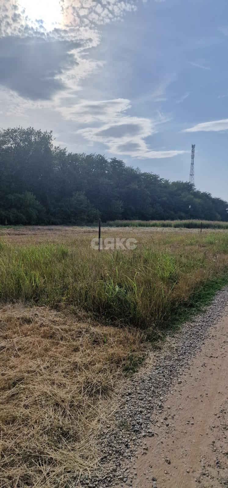 Фото №1: Личное подсобное хозяйство 10 сот. - Марьино