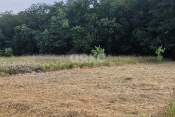 Фото №2: Личное подсобное хозяйство - Марьино, 