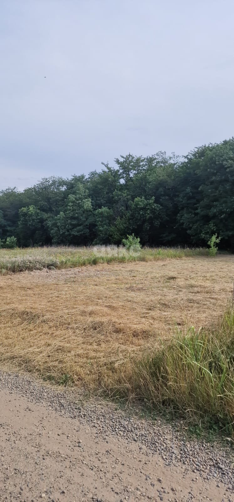 Фото №2: Личное подсобное хозяйство 10 сот. - Марьино