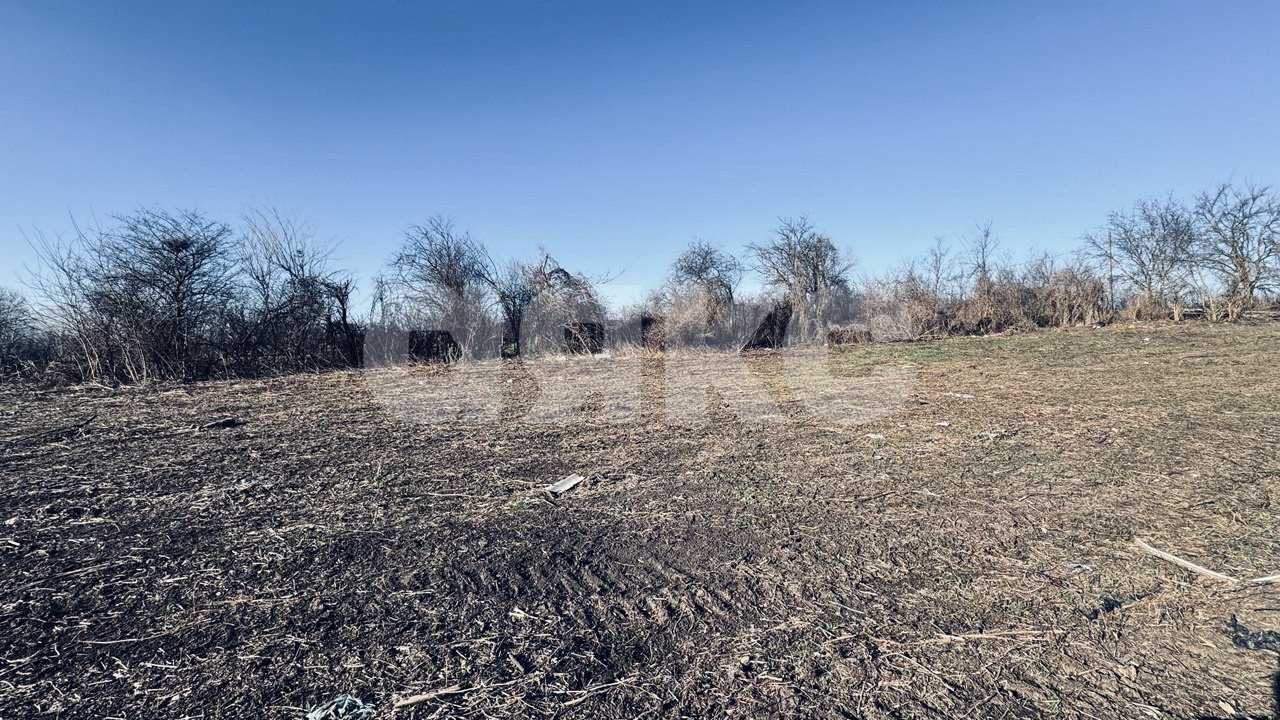 Фото №2: Земельный участок под ИЖС 20 сот. - Раздольная, ул. Дунайская, 5