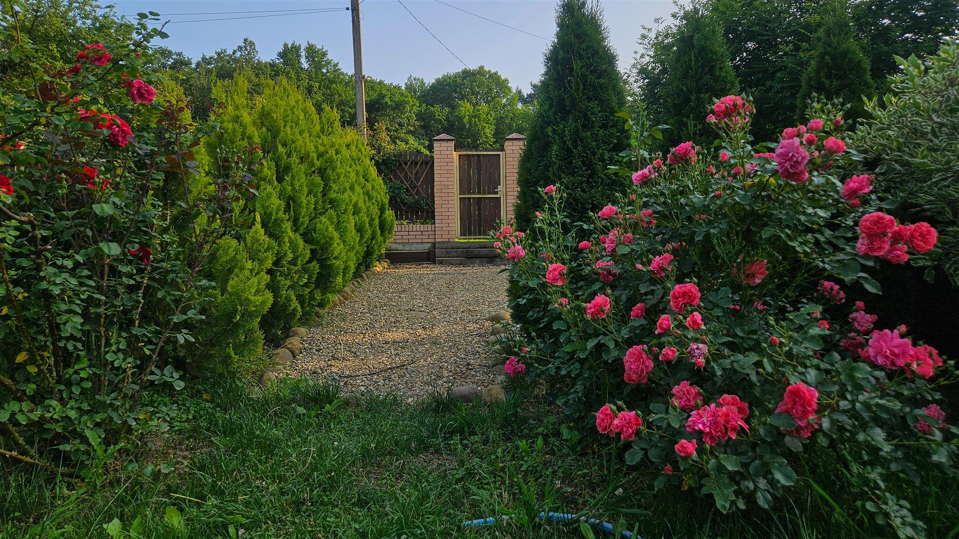 Фото №5: Земельный участок 46.22 сот. - Крепостная, ул. Ленина, 88/1