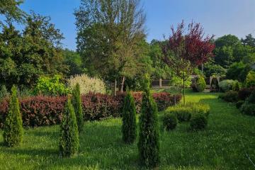 Фото №2: Земельный участок 46.22 сот. - Крепостная, ул. Ленина, 88/1