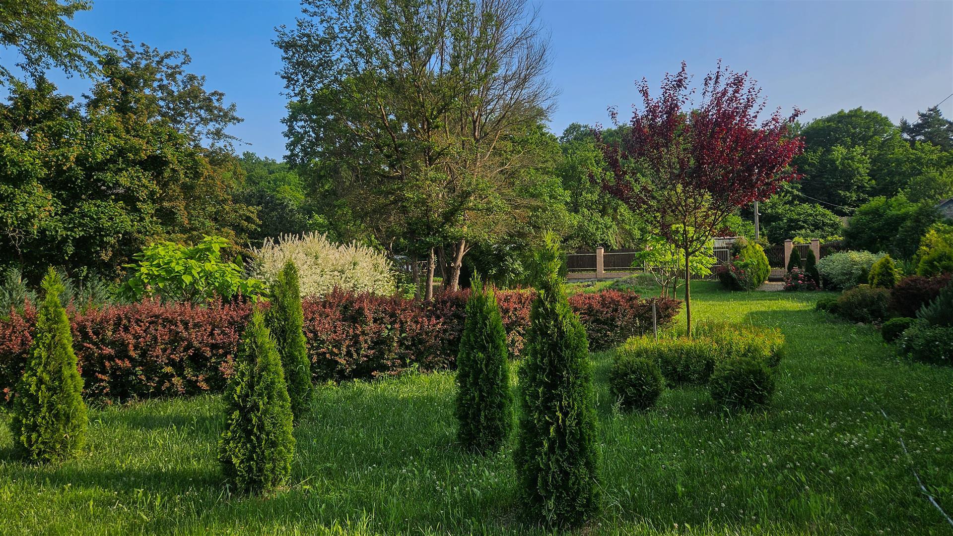 Фото №2: Земельный участок 46.22 сот. - Крепостная, ул. Ленина, 88/1