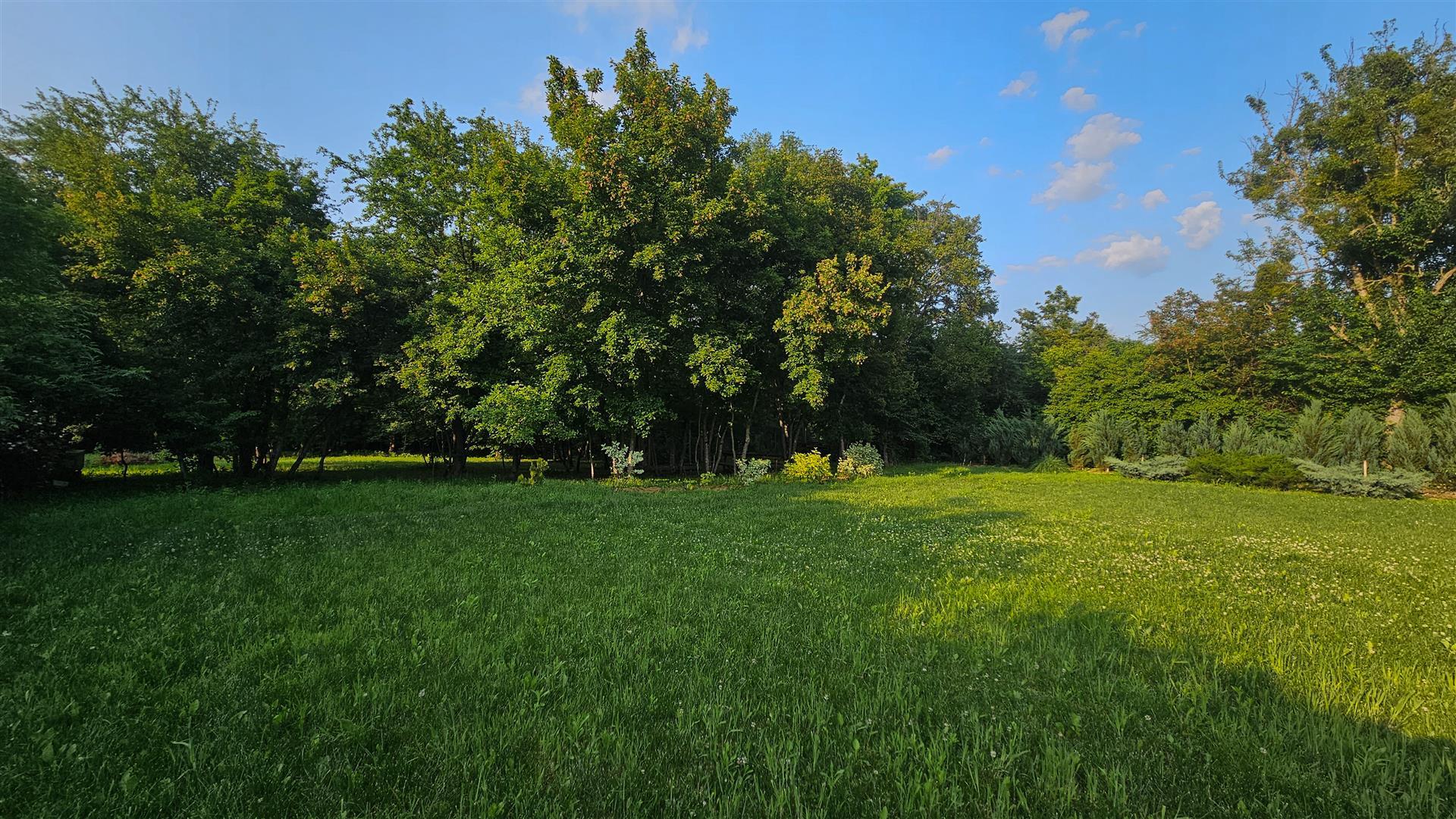 Фото №4: Земельный участок 46.22 сот. - Крепостная, ул. Ленина, 88/1