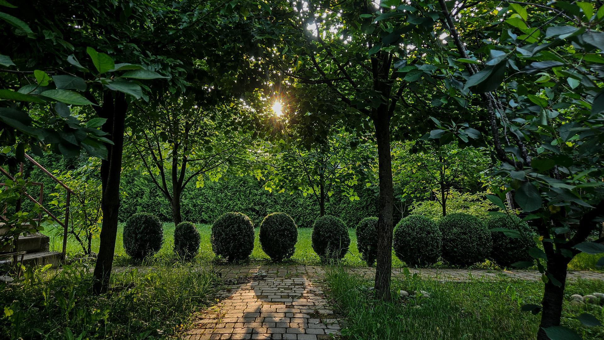 Фото №6: Земельный участок 46.22 сот. - Крепостная, ул. Ленина, 88/1