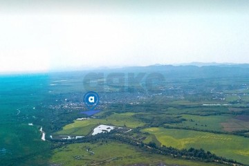 Фото №3: Коммерческая земля 500 сот. - СДТ Авиатор, ул. Тельмана