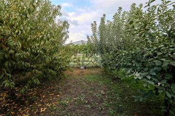 Фото №5: Дом 141 м² - Старобжегокай, ул. Московская, 12А