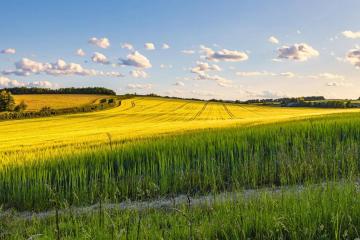 Фото №3: Коммерция 130 м² - Краснодарский край городской округ Новороссийск