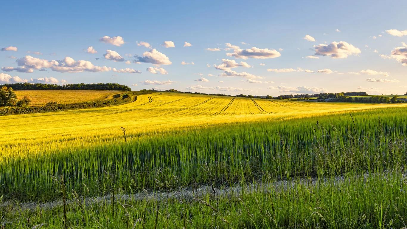 Фото №3: Коммерция 130 м² - Краснодарский край городской округ Новороссийск