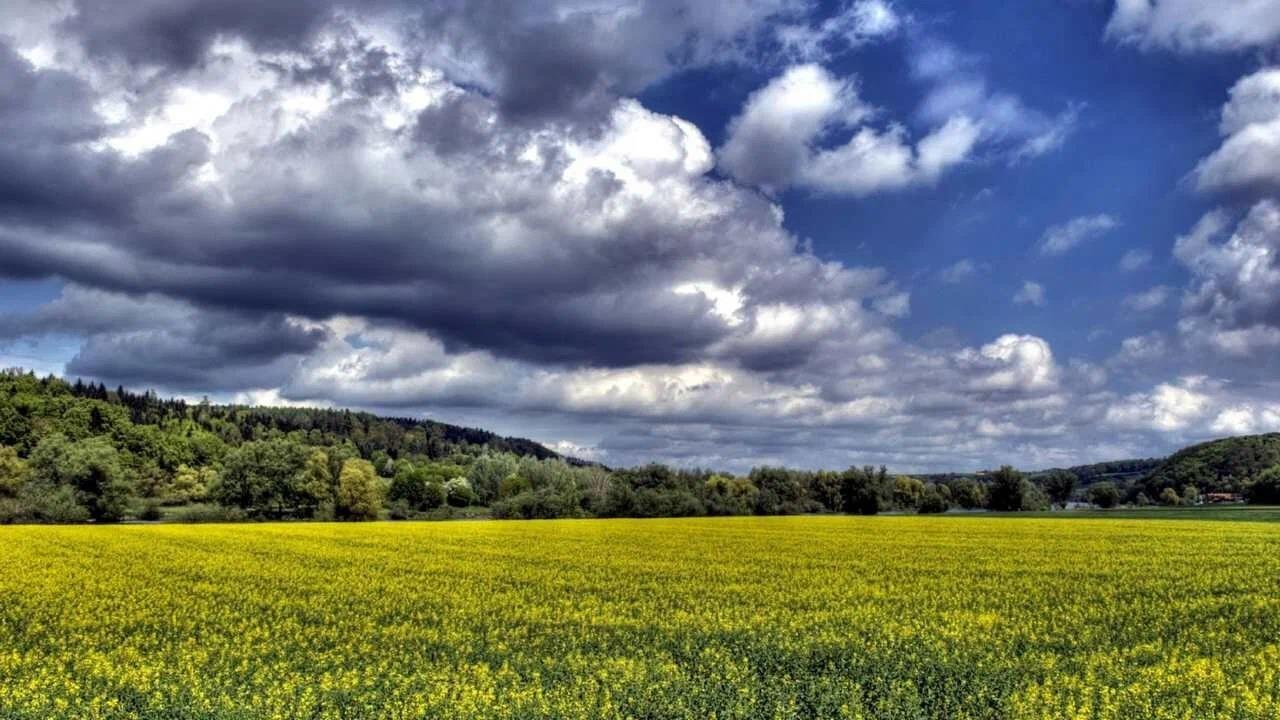 Фото №6: Коммерция 130 м² - Краснодарский край городской округ Новороссийск