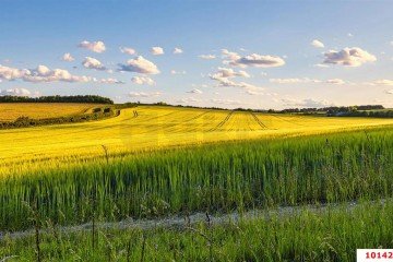 Фото №3: Коммерческая земля 130 сот. - Краснодарский край городской округ Новороссийск