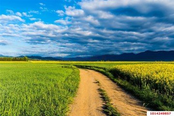Фото №4: Коммерческая земля 130 сот. - Краснодарский край городской округ Новороссийск