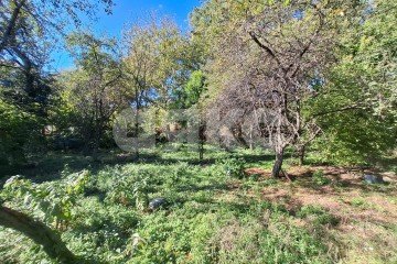 Фото №1: Личное подсобное хозяйство - Грозный, ул. Заводская, 32