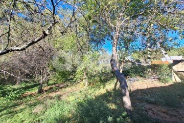 Фото №3: Личное подсобное хозяйство - Грозный, ул. Заводская, 32