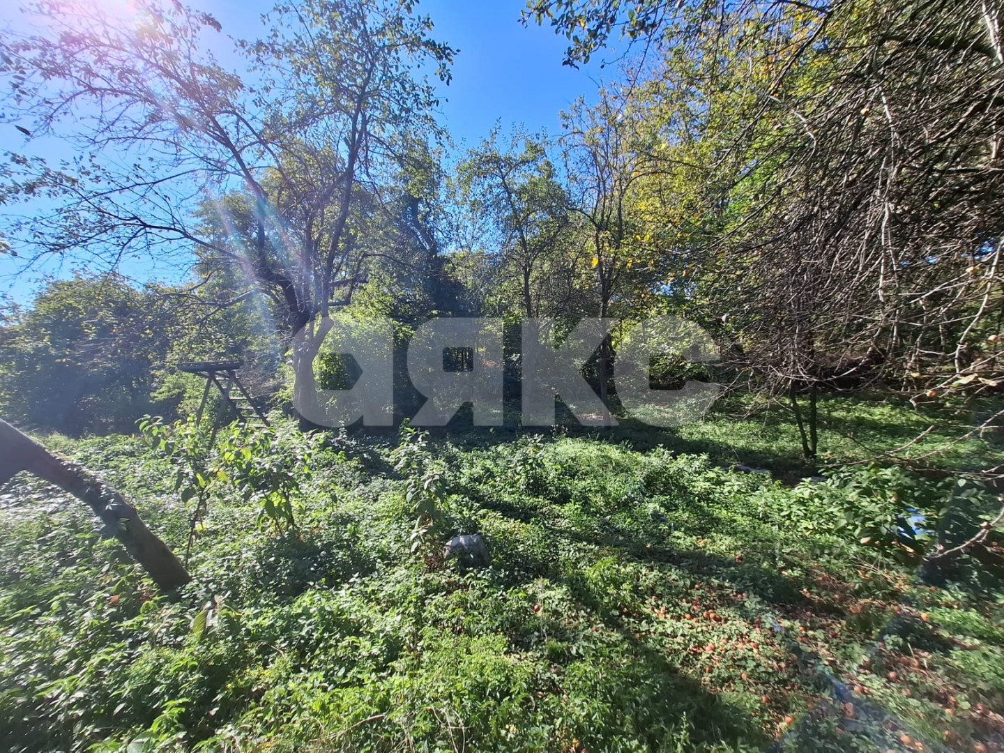 Фото №5: Личное подсобное хозяйство 12.72 сот. - Грозный, ул. Заводская, 32