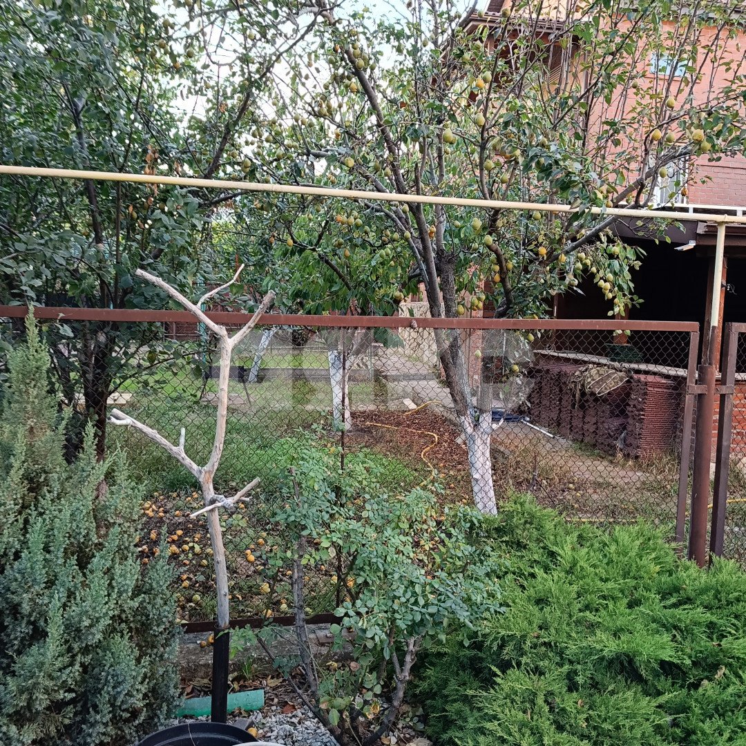 Фото №6: Дом 191 м² + 5.78 сот. - Геленджик, ул. Михайловская, 17