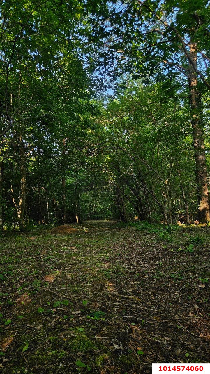 Фото №11: Земельный участок под ИЖС 82 сот. - Крепостная, ул. Ленина, 88