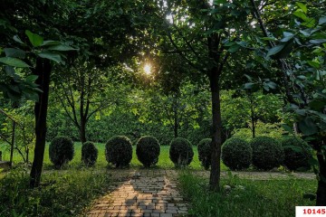 Фото №5: Земельный участок под ИЖС 82 сот. - Крепостная, ул. Ленина, 88/1