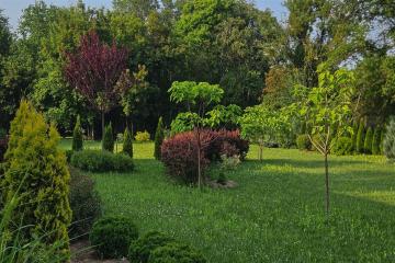 Фото №1: Земельный участок 82 сот. - Крепостная, ул. Ленина, 88/1