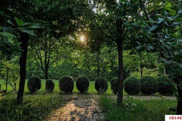 Фото №5: Земельный участок под ИЖС 82 сот. - Крепостная, ул. Ленина, 88