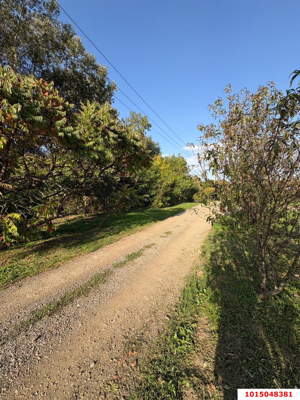 Фото №4: Дом 30 м² + 28 сот. - Саратовская, ул. Лермонтова