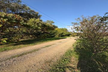 Фото №5: Дом 30 м² - Саратовская, ул. Лермонтова, 37