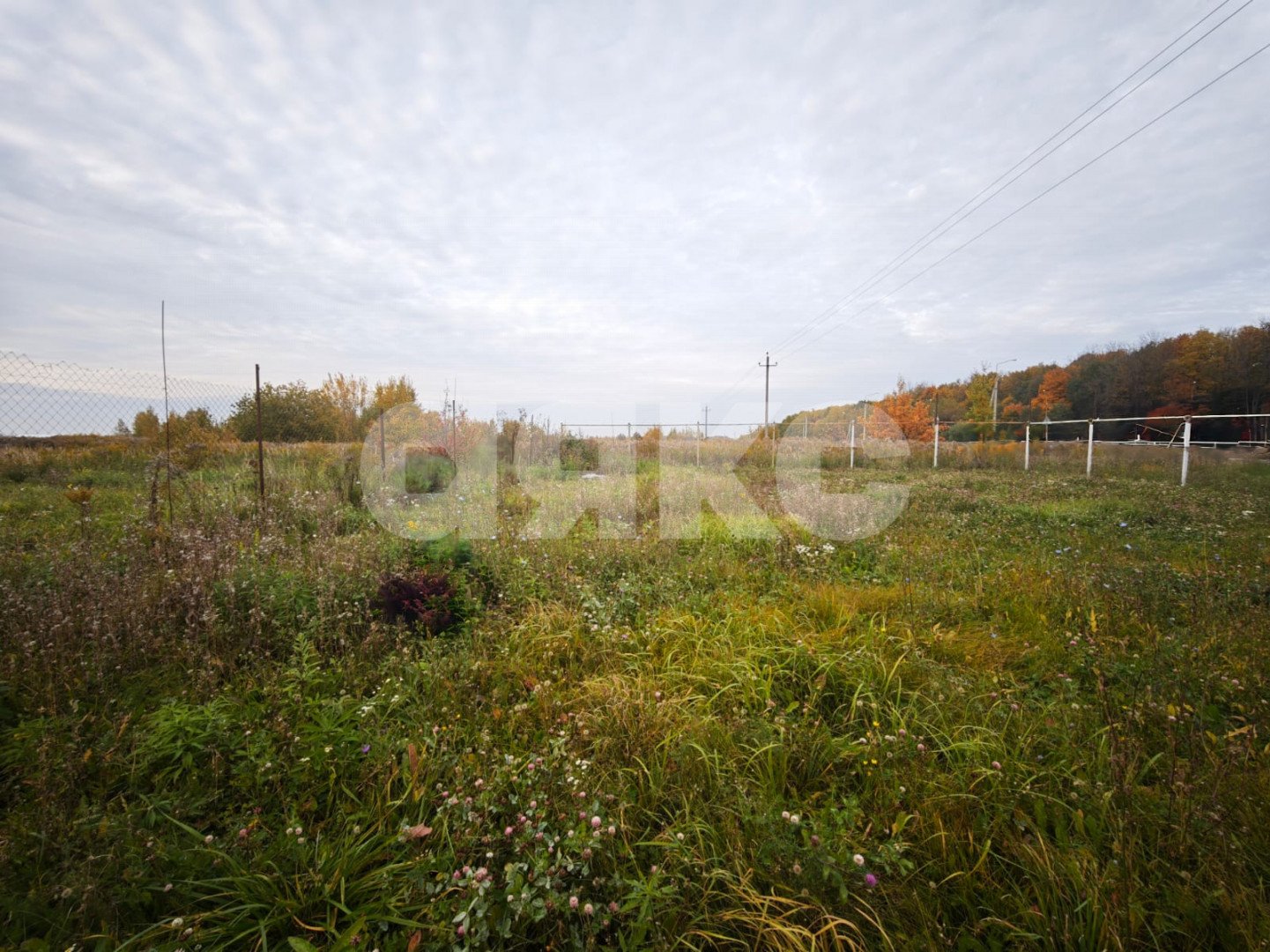Фото №11: Земельный участок под ИЖС 20 сот. - Самохваловка
