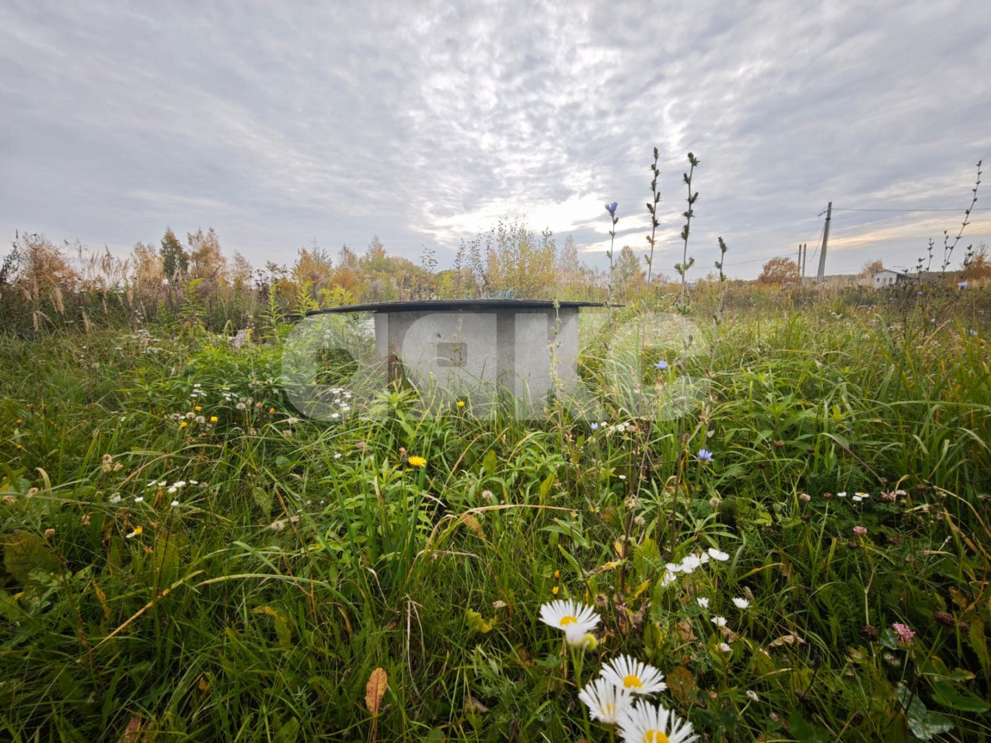 Фото №5: Земельный участок под ИЖС 20 сот. - Самохваловка