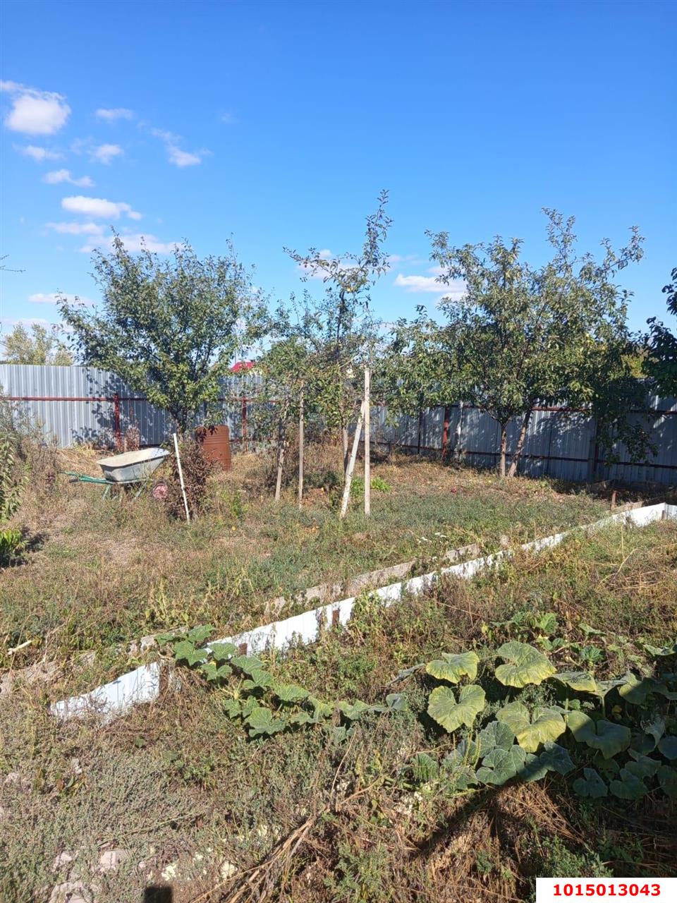Фото №7: Дом 78 м² + 7.86 сот. - Урожай, Карасунский внутригородской округ, ул. Айвовая, 317