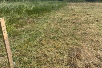 Фото №1: Земельный участок под ИЖС 5 сот. - Кучугуры, ул. Красная