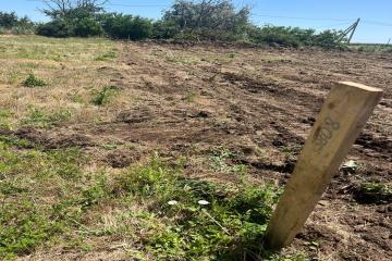 Фото №5: Земельный участок 5 сот. - Кучугуры, ул. Красная