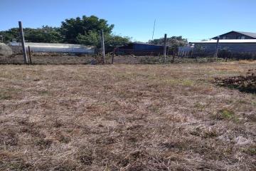 Фото №3: Земельный участок 7 сот. - Южный, ул. Мира, 64